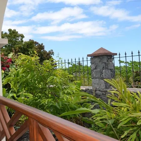 Heliconia 3 Apartment