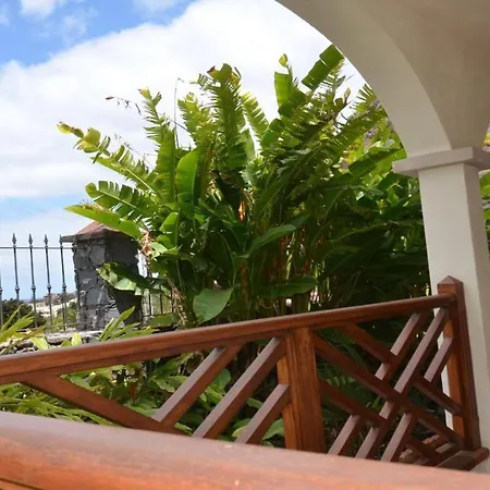 Heliconia 3 Apartment